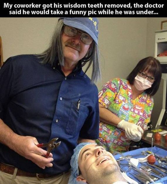 funny-pictures-1176