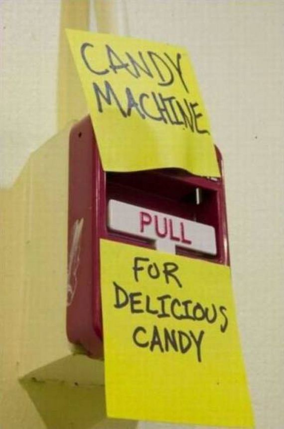 funny-pictures-1176