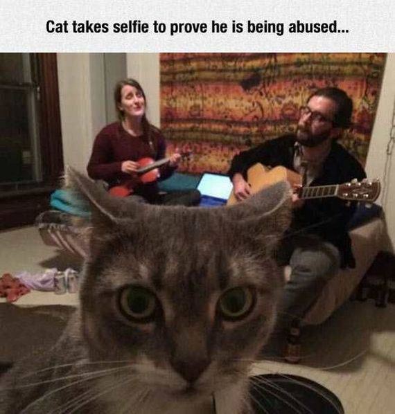 funny-pictures-1176