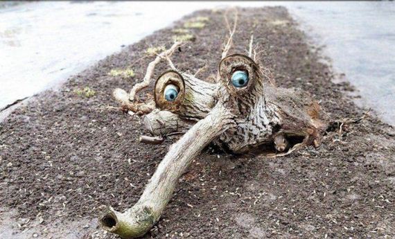 funny-pictures-1177