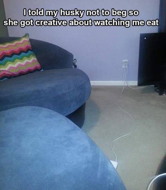funny-pictures-1177