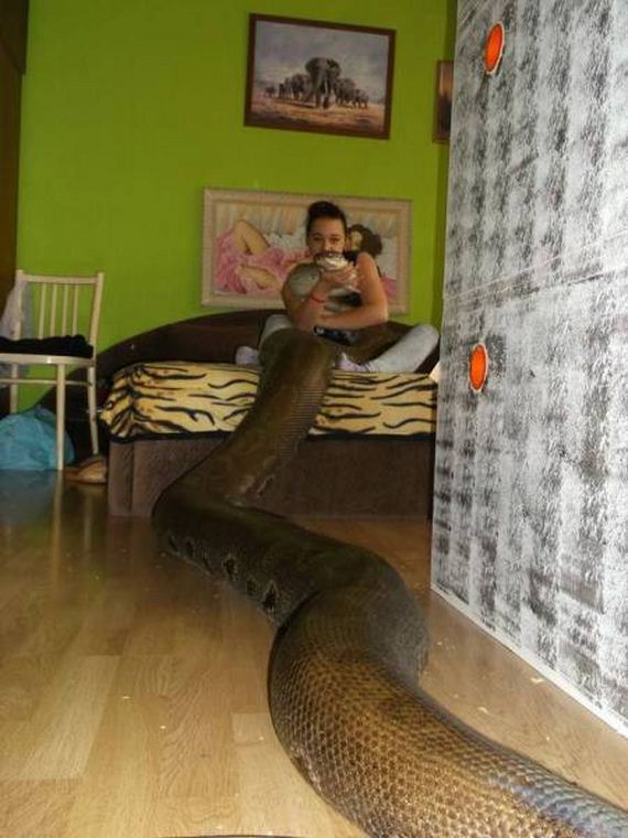 funny-pictures-1177