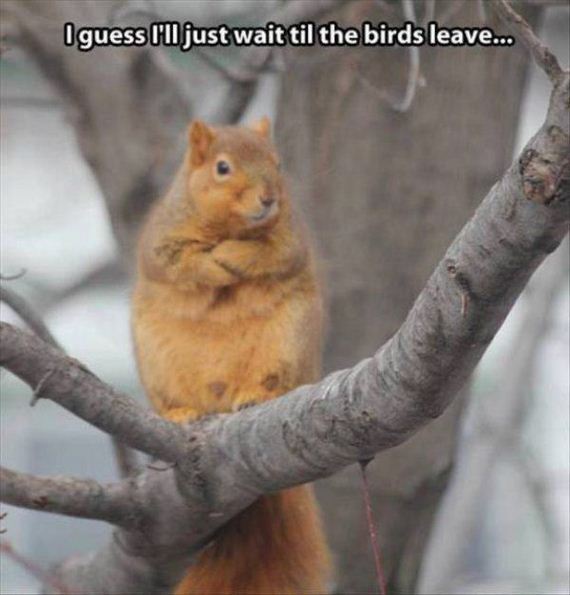 funny-pictures-1178