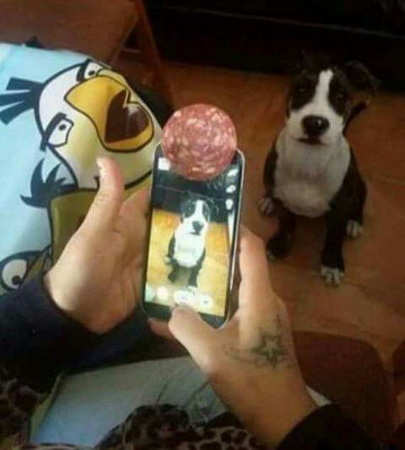 funny-pictures-1178