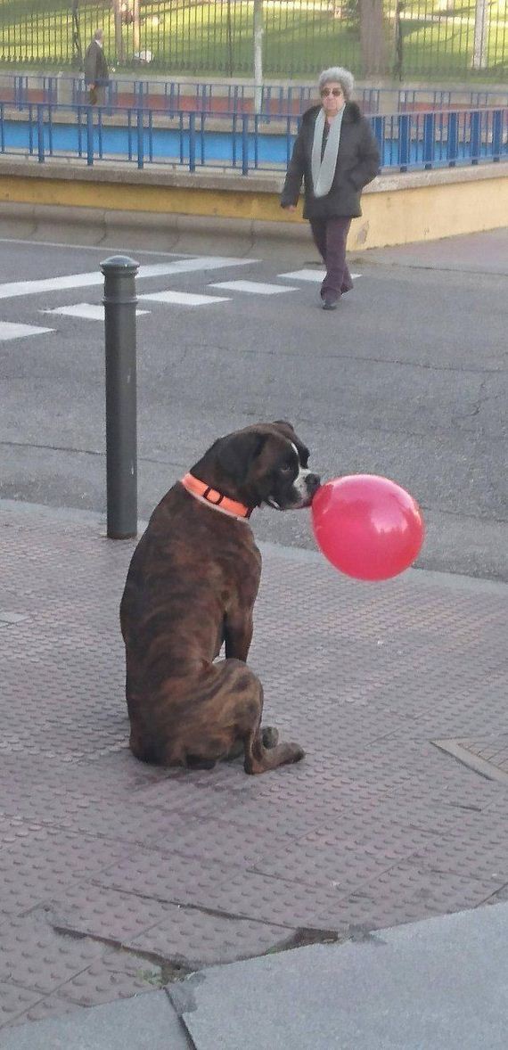 funny-pictures-1178