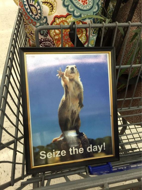 funny-pictures-1178