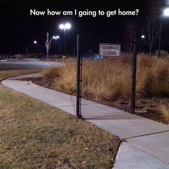 funny-pictures-1179