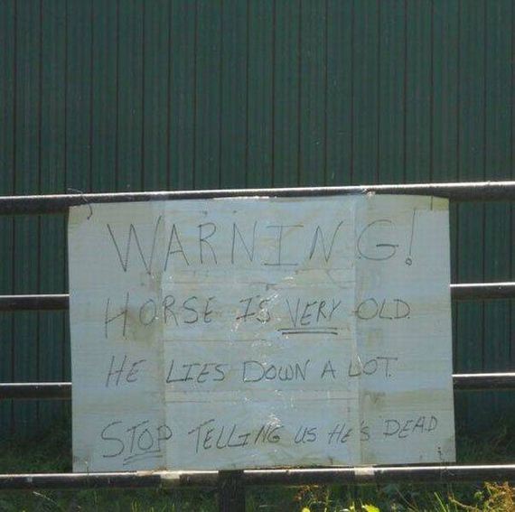 funny-pictures-1179