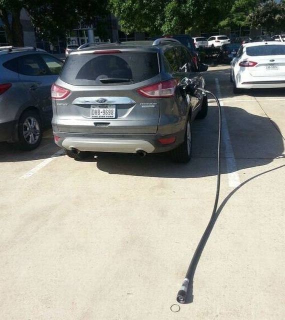 funny-pictures-1179