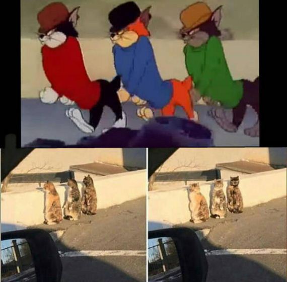 funny-pictures-1179
