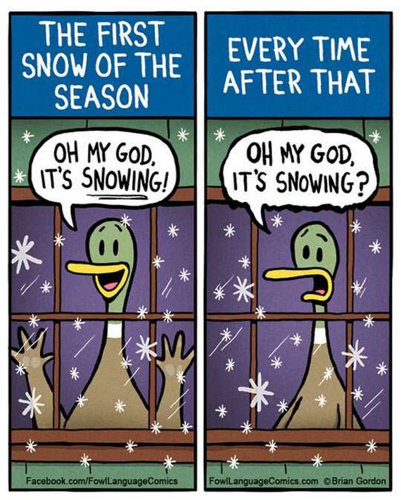 funny-pictures-1180