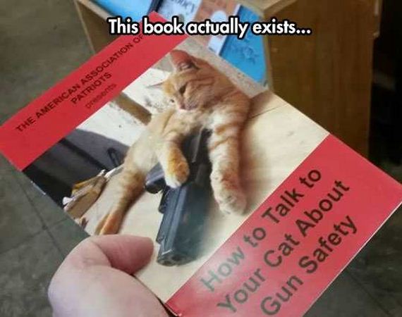 funny-pictures-1180