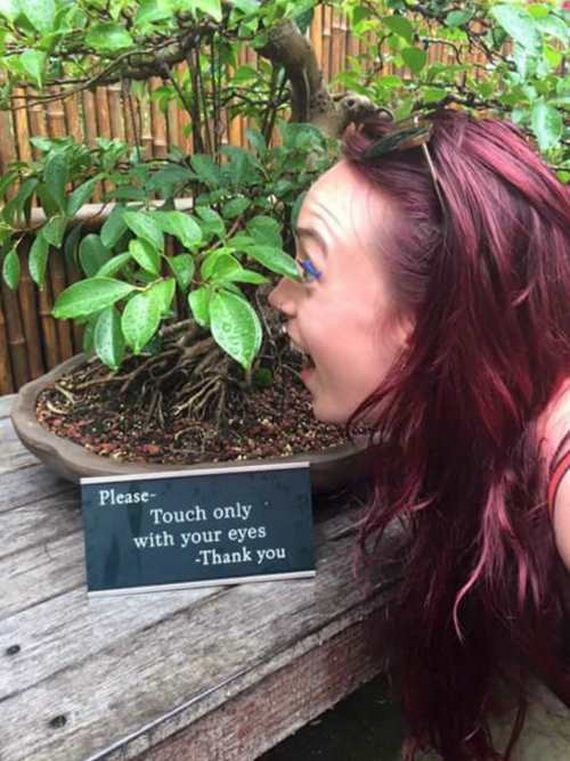 funny-pictures-1180
