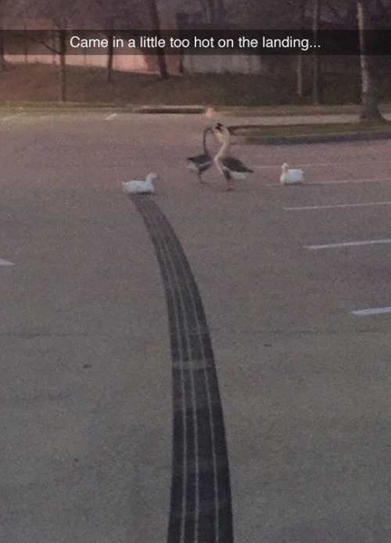 funny-pictures-1180