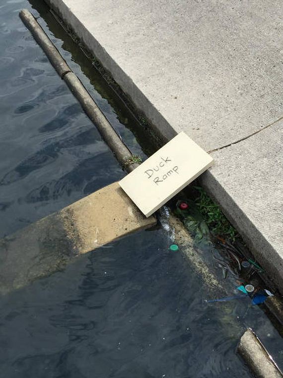 funny-pictures-1181