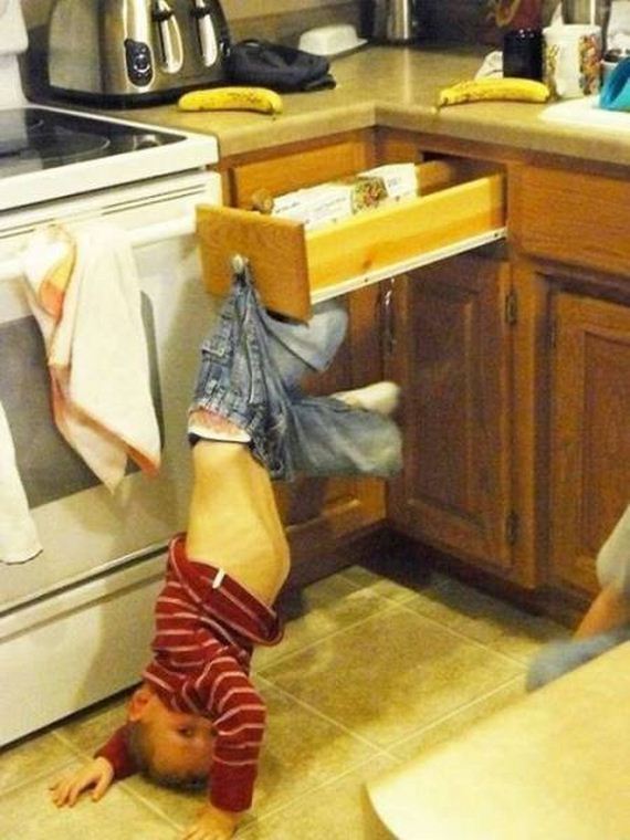 funny-pictures-1181