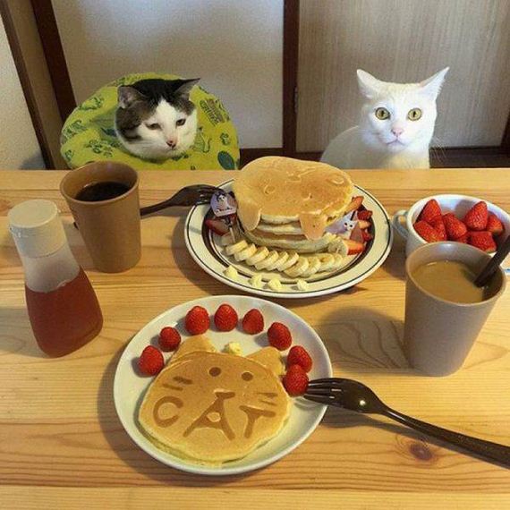 funny-pictures-1182
