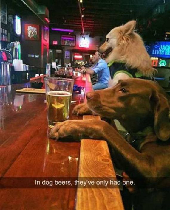 funny-pictures-1183