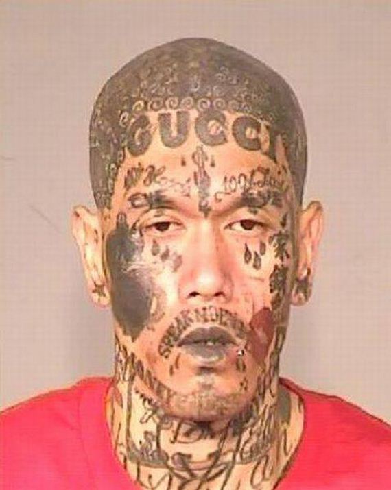 funny-pictures-1183