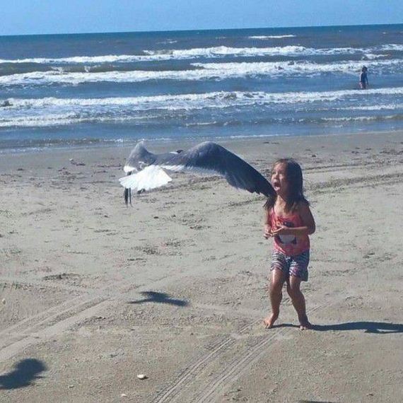 funny-pictures-1183