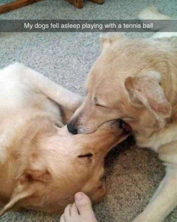 funny-pictures-1184