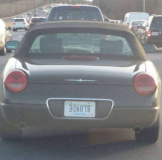 funny-pictures-1184