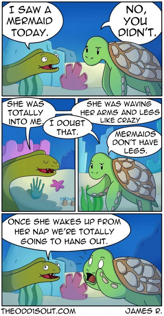 funny-pictures-1184
