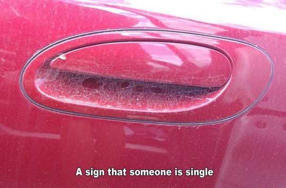 funny-pictures-1184