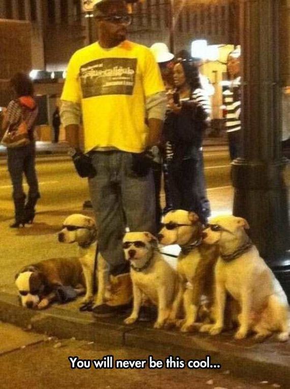 funny-pictures-1184