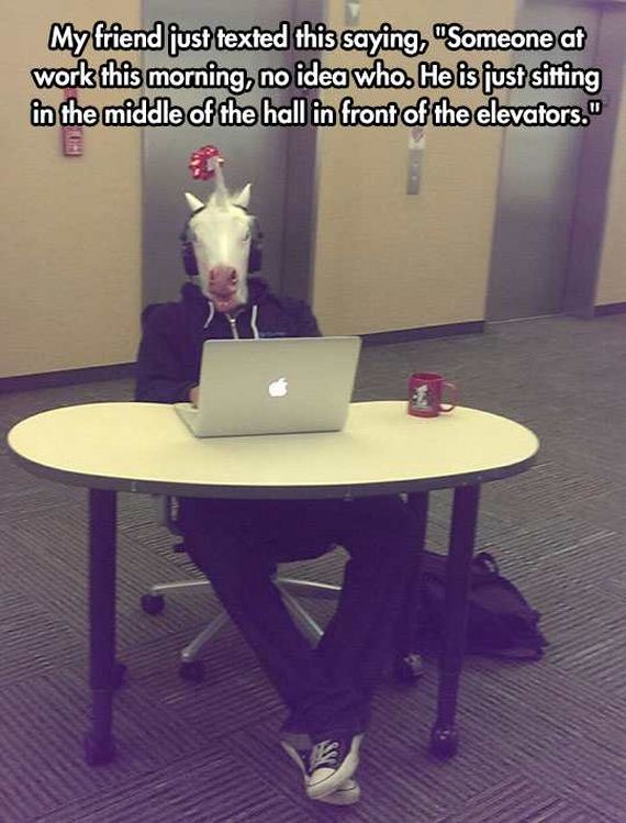 funny-pictures-1184