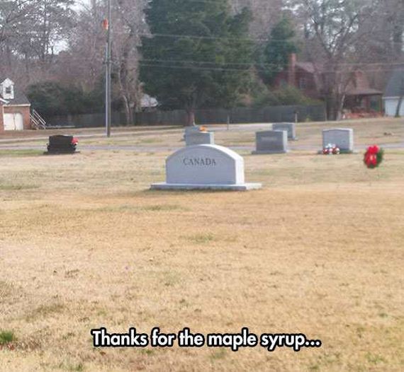 funny-pictures-1184