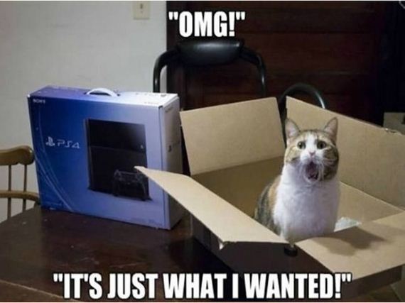 funny-pictures-1185