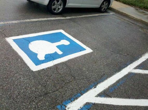 funny-pictures-1185