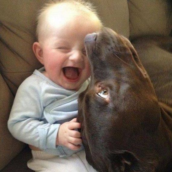funny-pictures-1185