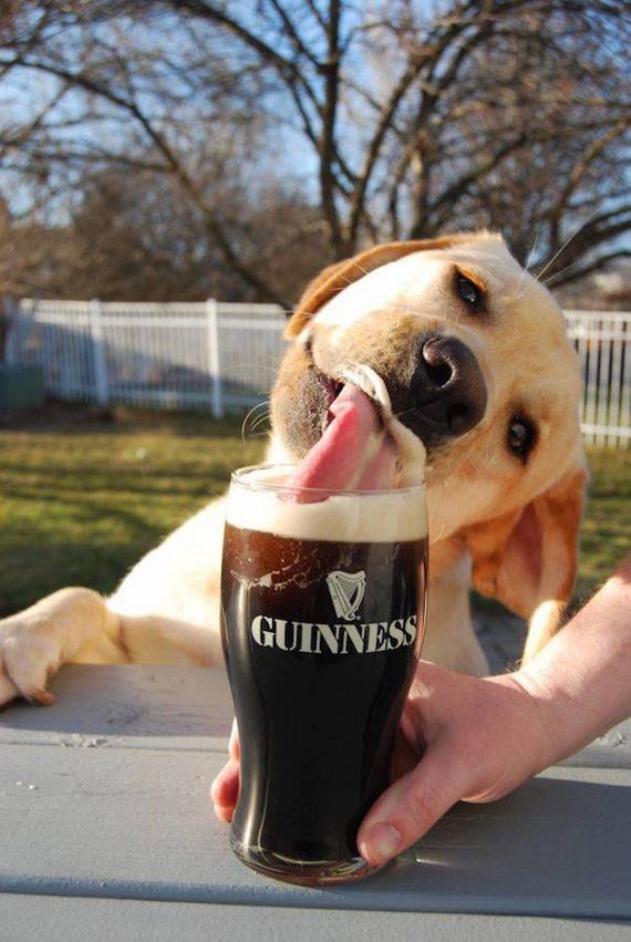 funny-pictures-1187