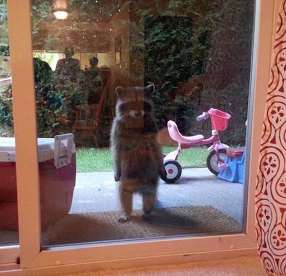 funny-pictures-1187