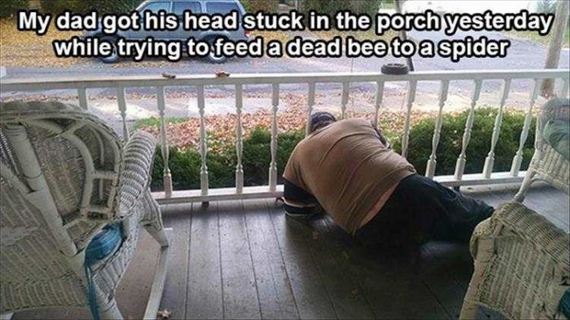 funny-pictures-1187