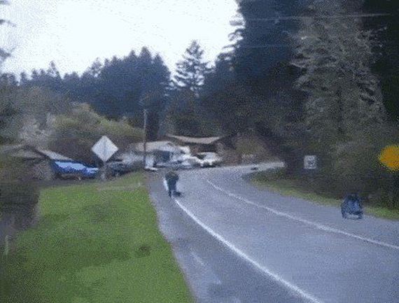 funny-pictures-1187