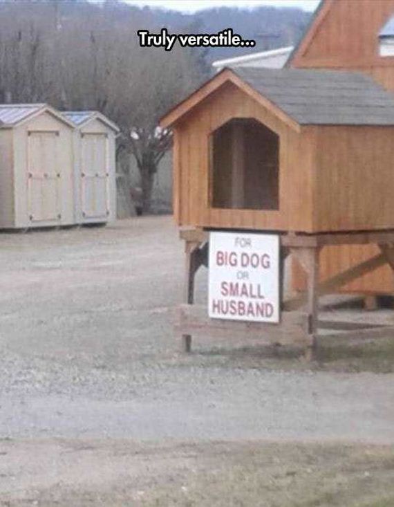 funny-pictures-1187