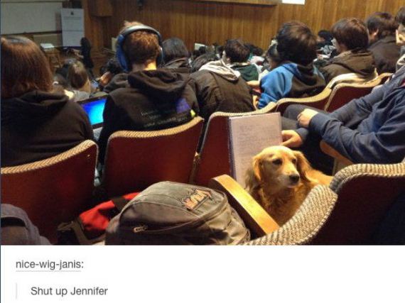 funny-pictures-1187