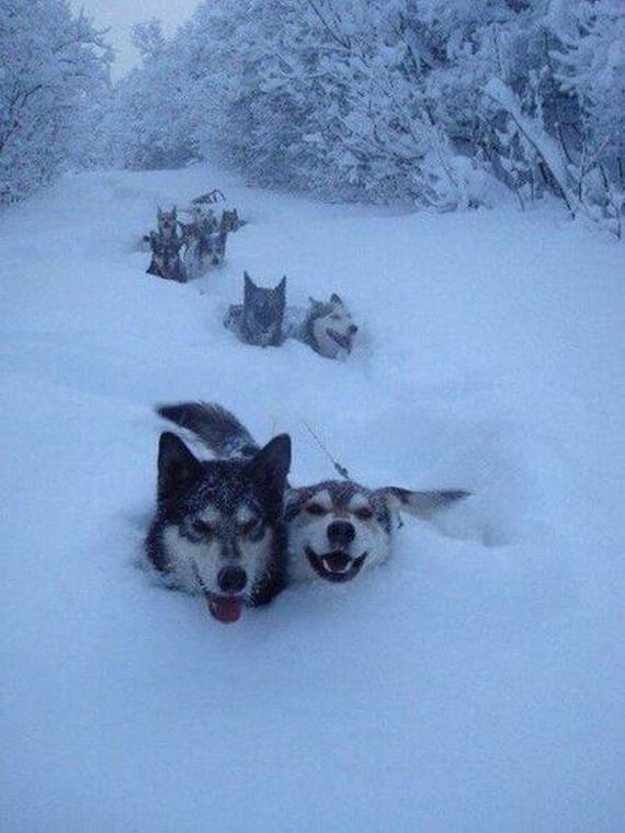 funny-pictures-1188