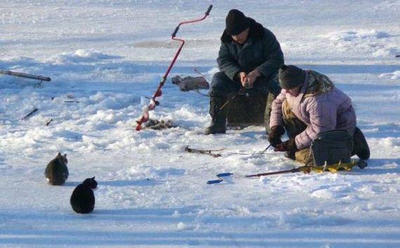 funny-pictures-1188