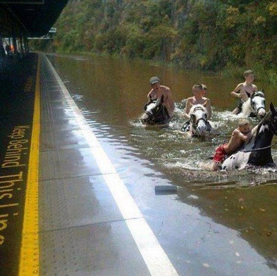 funny-pictures-1188