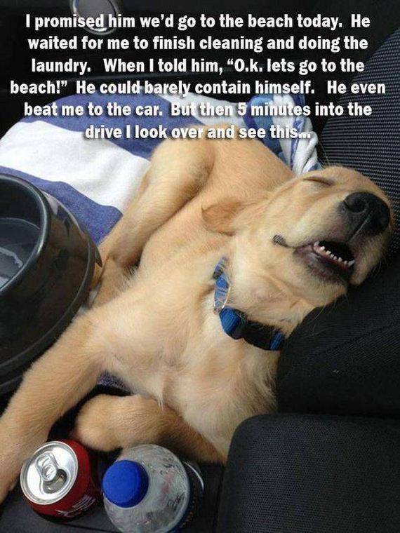 funny-pictures-1188