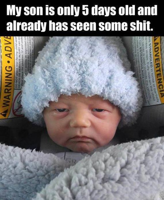 funny-pictures-1189