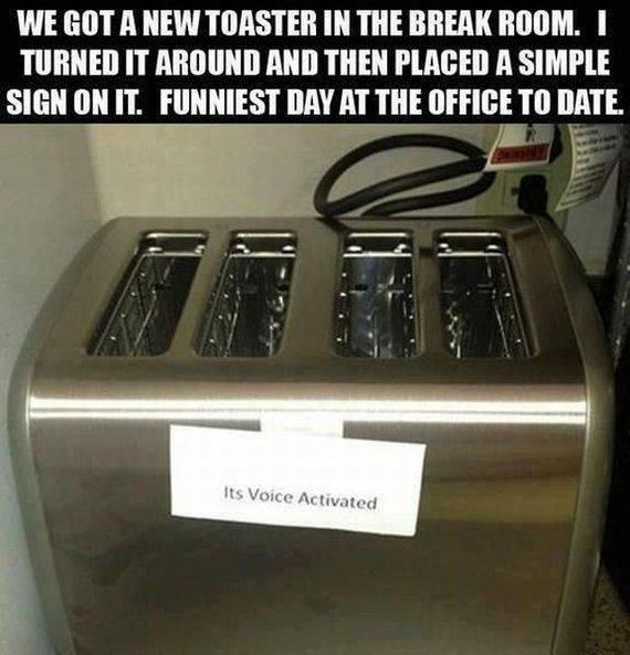funny-pictures-1191