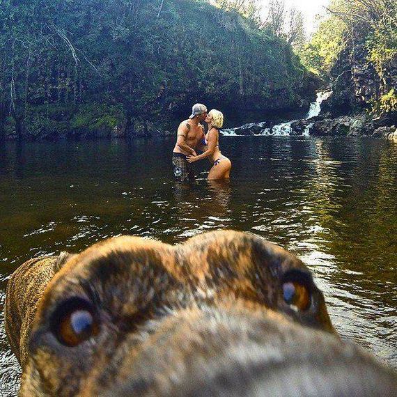 funny-pictures-1191