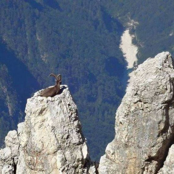 funny-pictures-1191