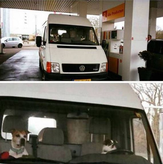 funny-pictures-1191