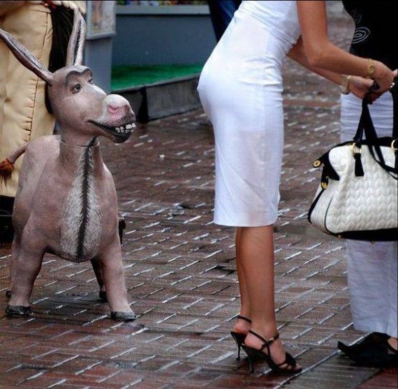 funny-pictures-1192